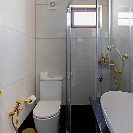 Magna Oura 3*